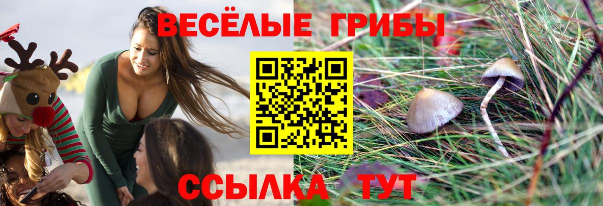 Галлюциногенные грибы мицелий  Вход с VPN  Якутск  Галлюциногенные грибы Psilocybine cubensis 