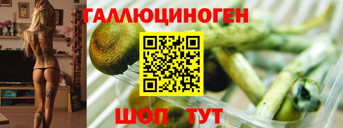 Галлюциногенные грибы Magic Shrooms Якутск